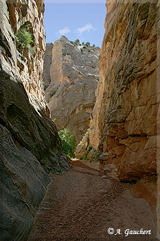 Anfang der Narrows